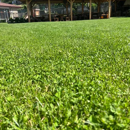 Daffi Hotel